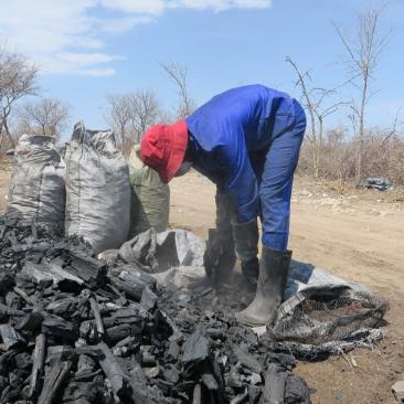 Growth at Home Phase II to focus on Wood Charcoal Processing