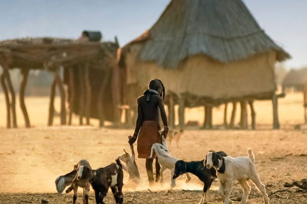 Local Environmental Fund Re-accredited To Access GCF Capital