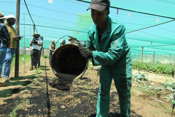 WBCG Calls on the Zambian Govt to Procure Fertilisers via Walvis Bay