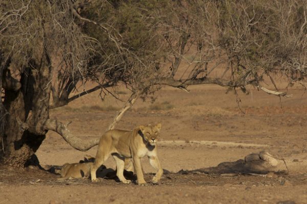 Opinion Column Titled: The Unconventional and Unorthodox Thoughts  We preach so much about tourism but are we conserving and preserving?