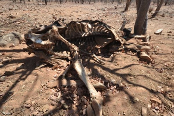 Agric ministry holds urgent meeting on drought