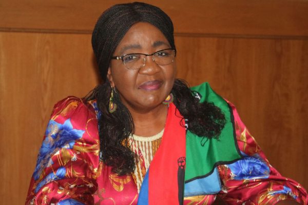 Shaningwa wants internal elections to go smoothly