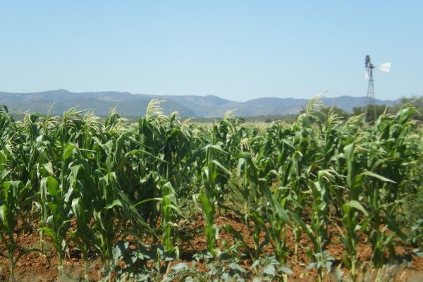 Agriculture records mixed 2018 growth results