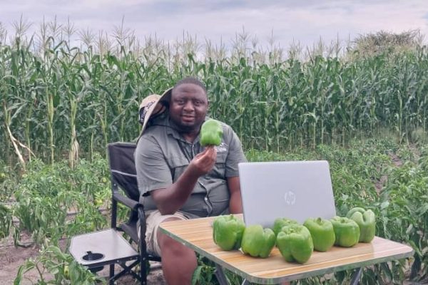 Border Closed For A Variety Of Veggies