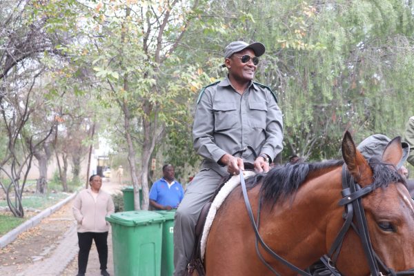 Horse Unit To Be Deployed To Combat Poaching In Etosha …as 289 rhinos poached in 5 years