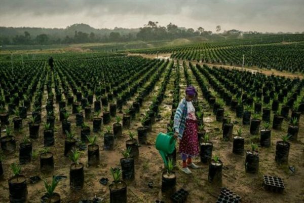 Rural Areas Are Zones Of Economic Misery – !Gawaxab