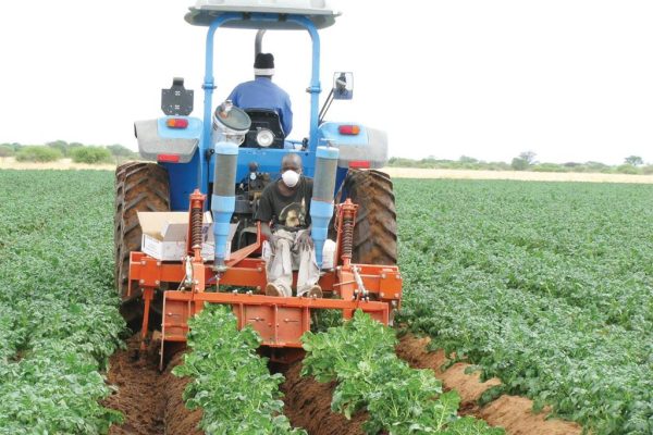 Mashare Agricultural College Set to Open in 2026