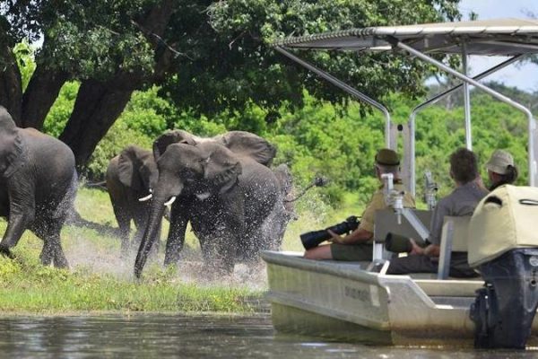 Northern Namibia Leads in Hospitality Occupancy Rates