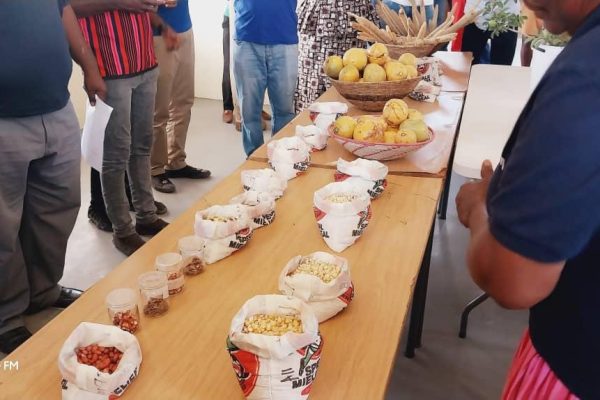 Indigenous Seeds Can Boost Agricultural Production in SADC