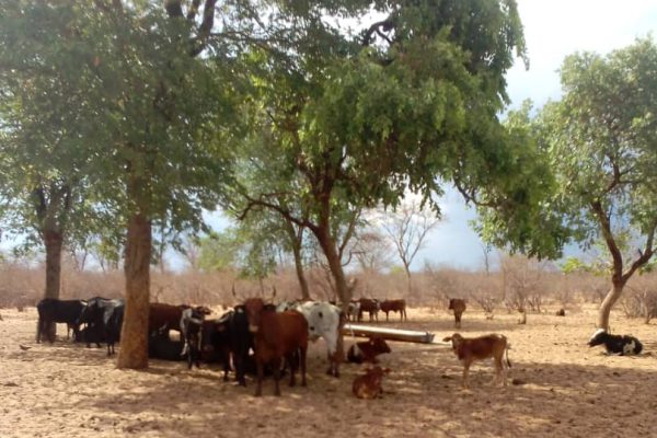 Water Director Apologises for Inoperable Boreholes  … Urges Community Involvement