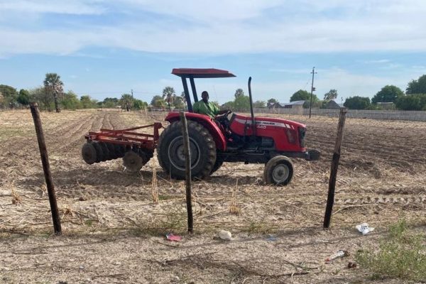 Starving Oxen, Donkeys Stresses Northern Communal Farmers