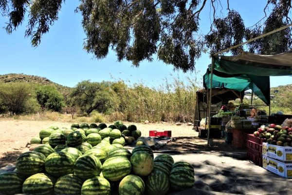 Tough Competition Over Watermelon Trading…Street Vendors Advocate for Formal Market