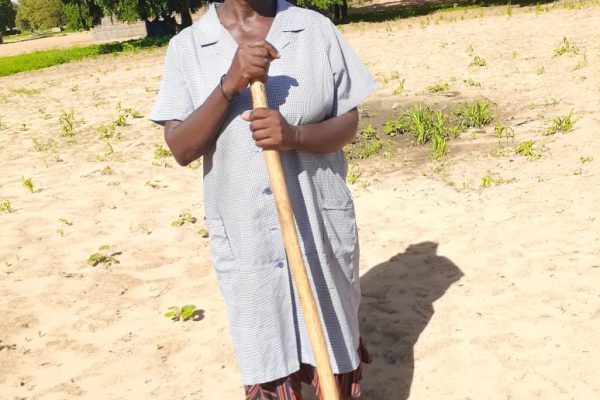 Pensioner Loses 27 Goats Due to Human-Wildlife Conflict