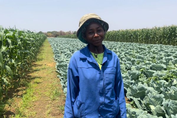 Cultivating Change: The Journey of Young Farmers in Namibia