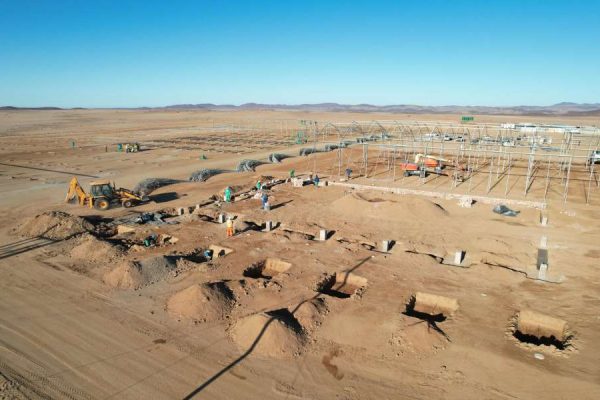 Daures’ Green Tomato Harvest Reserved for Local Consumption