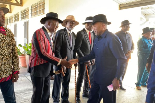 Mbumba Seeks Guidance From Traditional Authorities