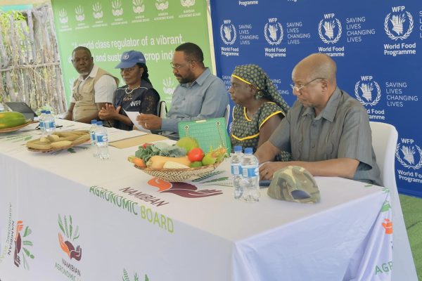 Namibia Achieves 55% Vegetable Self-Sufficiency, Reports WFP
