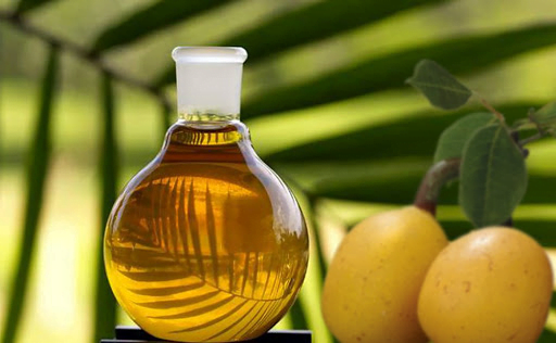 Namibian Fatty Oils Gain Traction in European Cosmetic Industry