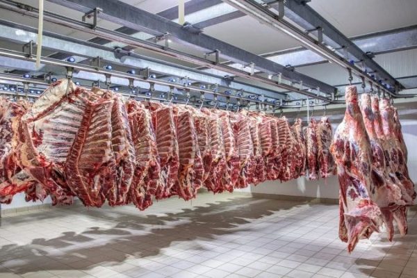 African Countries Express Interest in Namibian Beef