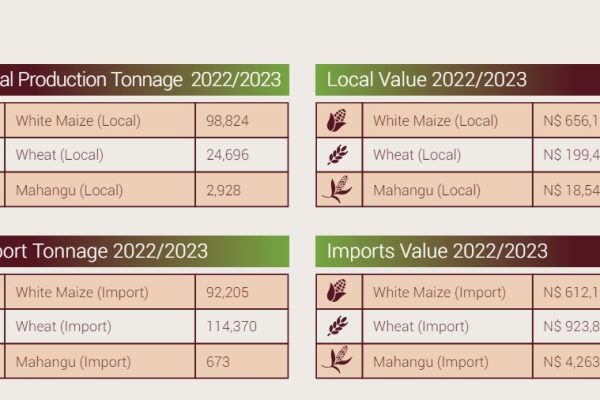 Only 18% of White Maize Demand Can Be Met Locally