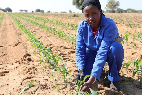 Women Own 30% of Namibian Farms
