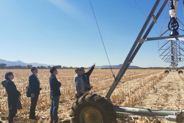 Youth Leader Sub-leases Resettlement Farm to Chinese Company