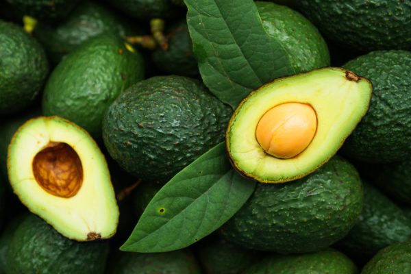 Namibia Can Produce 800 Tons of Avocados … local production could save the country about N$16 million annually