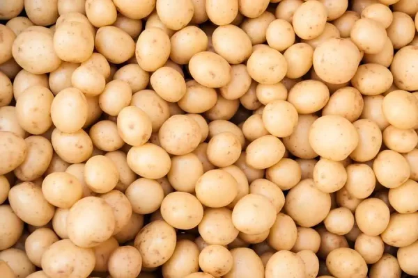 Borders Open for Five Vegetables Only