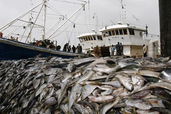 Namibia’s Fishing Sector Requires Effective Management – President