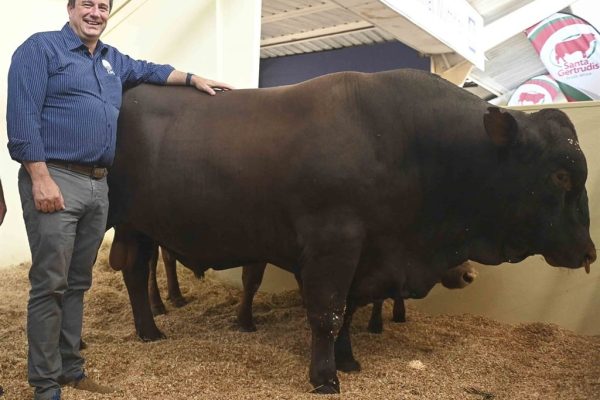 Steenhuisen Appointment to Have "No Impact" on Namibia’s Agriculture Sector