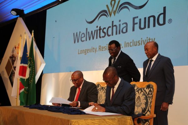 Law on Welwitschia Sovereign Wealth Fund to Reach Parliament Soon