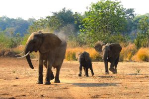 The Namibian Inflection Point: A Southern African Sleeping Giant Awakens