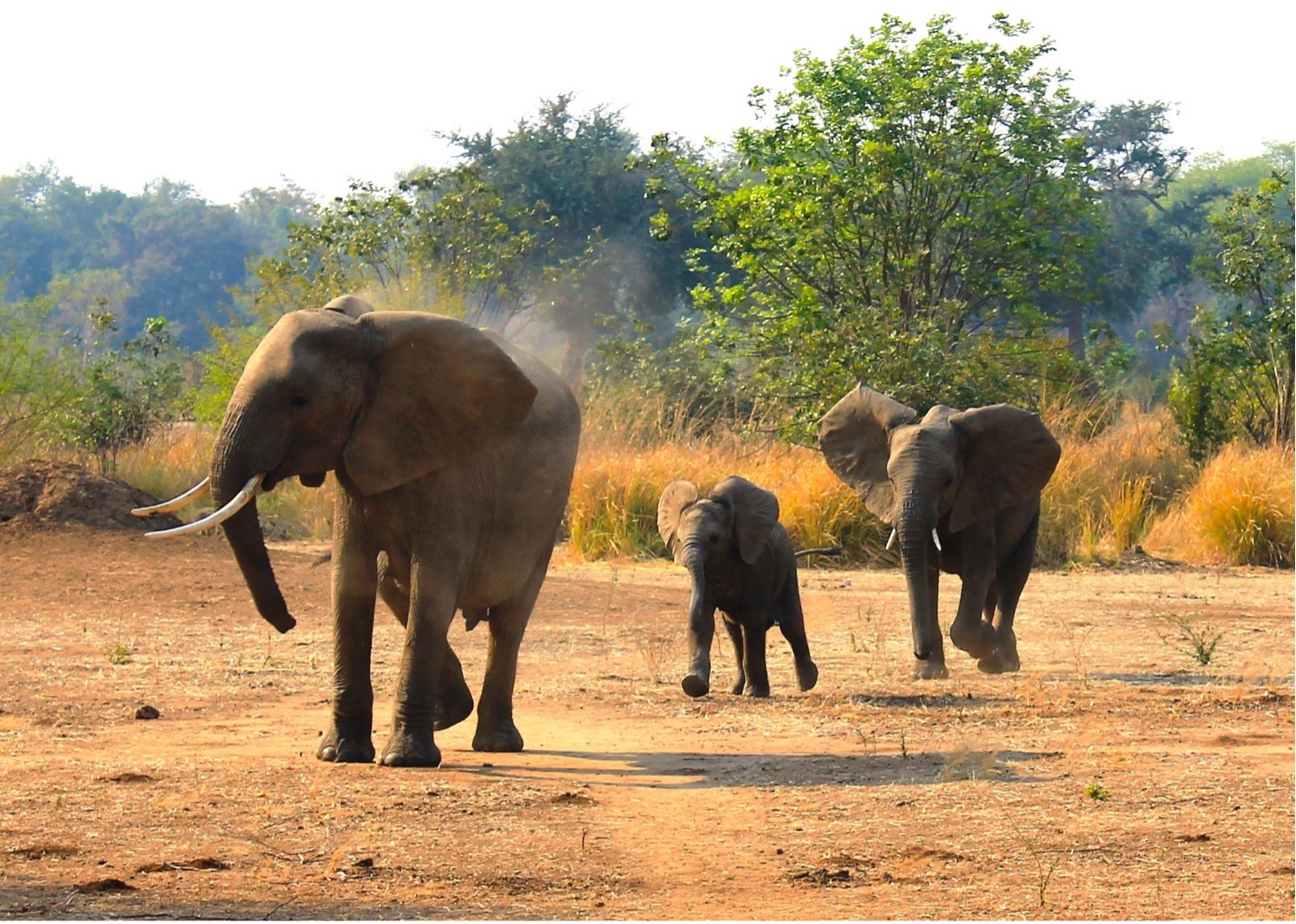 The Namibian Inflection Point: A Southern African Sleeping Giant Awakens