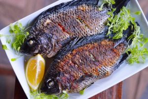 Zambezi Bream Becoming Scarce in the Region’s Rivers