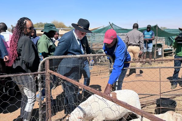 Communal Farmers Can Match Commercial Productivity if Well Coordinated – Schlettwein