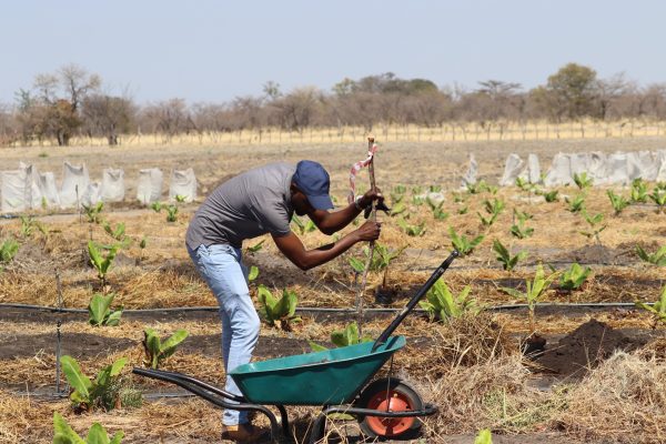 NAB Targets EU Export Clearance: Talks for EU Approval Ongoing