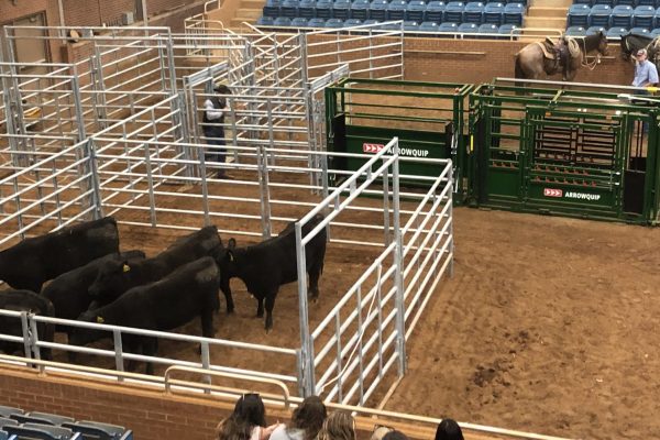 Calls to Re-evaluate Livestock Marketing Strategies Made