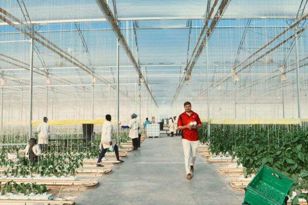 Biostimulant Approved for European Market, Faces Local Registration Hurdles