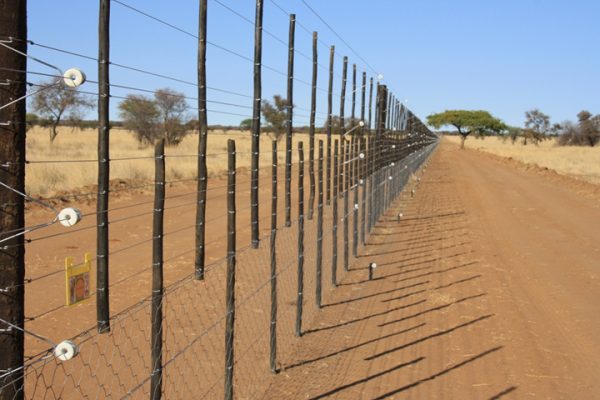 Schlettwein Addresses Displacement of Farm Workers in Land Reform Efforts