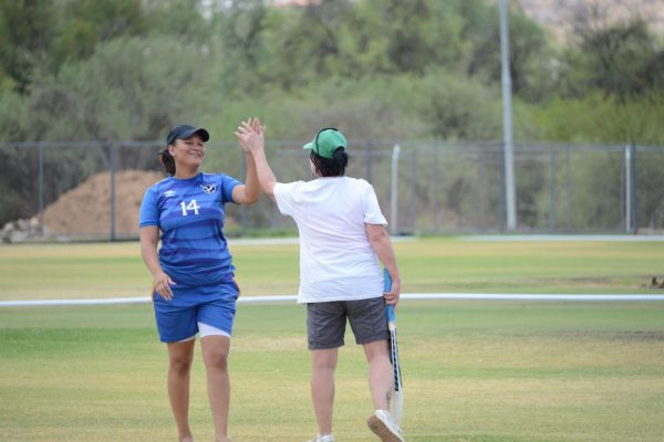 Cricket Social League Highlights Importance of Networking Through Sport