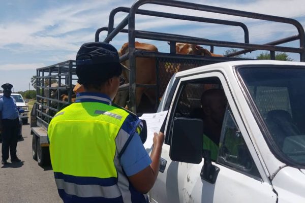 Kavango West Records 23 Road Fatalities and 52 Injuries in Two Years