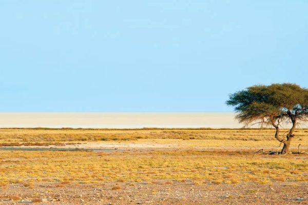 Drought Crisis in Kunene Region Persists