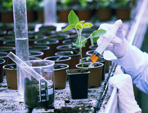 Agriculture Ministry Needs Research Facilities