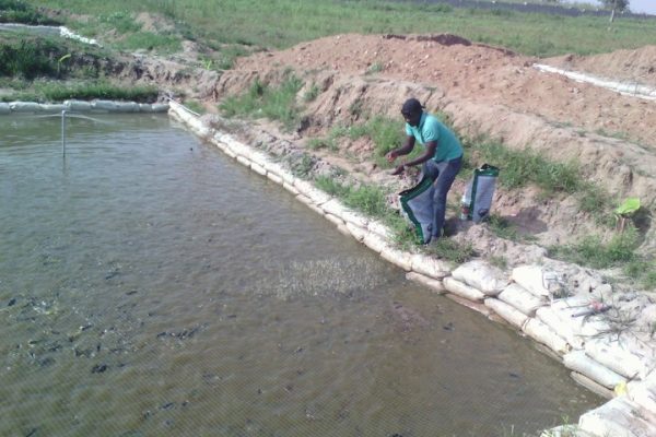 Kavango West in Need of Aquaculture Infrastructure