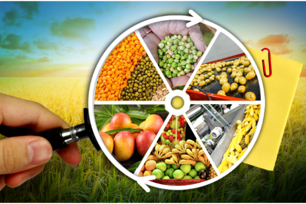 More Investment in Agro-processing Required