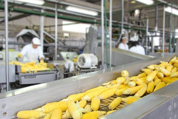 Agro-Processing a Hit-and-Miss in State-run Projects