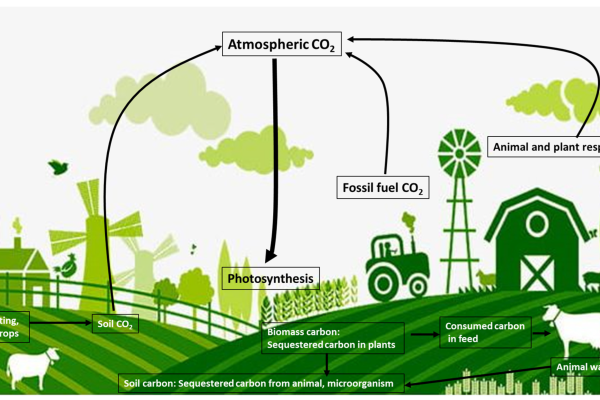 Ministry of Agriculture Falls Short of Achieving SDGs