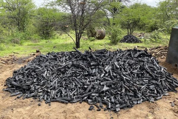 Charcoal Production Not Without Challenges in Communal Areas