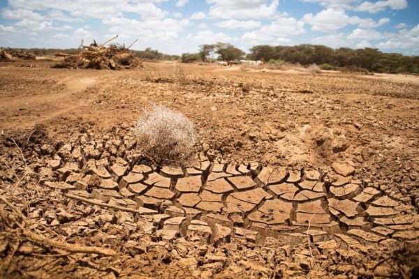 IMF to Avail Zero-Interest Loans for Africa’s Climate Resilience and Preparedness