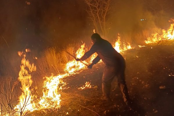 Etosha Fire Attributed to Failed Firebreaks